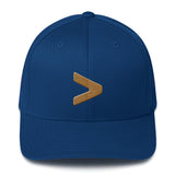 Death is greater than brand  Flexfit Cap